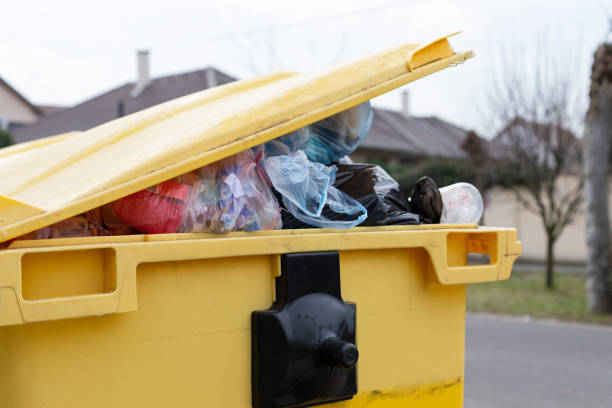 Best Moving and Downsizing Cleanouts  in Lamont, CA